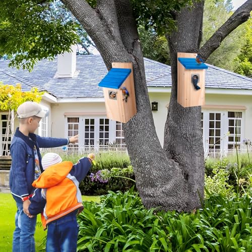 Dreyoo 2 Pack Bluebird Box Houses for Outside,1-1/2'' Entrance Hole Wooden Bird Houses with Metal Guard, Secure Latch,Fledgling Grooves,Air Vents for Bluebird Wren Swallow(Blue Roof, Wood Body) - color: Blue Roof, Wood Body