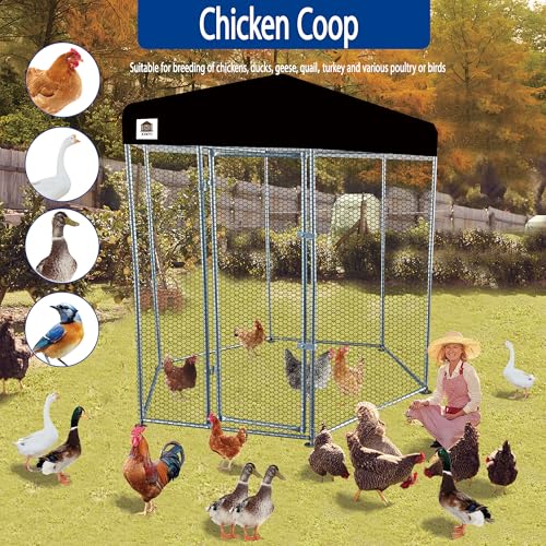 Hexagonal Metal Chicken coop with Cover for Yard, 6x6x7.5ft Large Chicken Run for 4-6 Chickens, Walk-in and Weatherproof Design Duck Pen, Thickened Black UV Protection Cover - size: 71.0"L x 90.0"W x 71.0"H