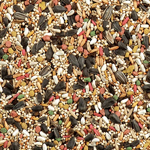 Wild Harvest Daily Blend Nutrition Diet, 2 Pounds, Bird Food for Cockatiels, Lovebirds and Small Hookbills - size: 2 Pound (Pack of 1)
