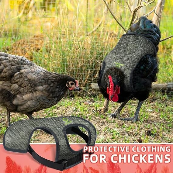 Premium Chicken Saddle with Adjustable Strap,Poultry Saver，Feather Protector for Back and Sides,Outdoor Hen Apron2 Pieces
