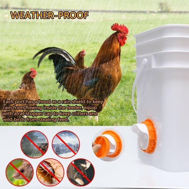 Chicken Feeder Port, 6 Chicken Feeders No Waste, 6 Lids 1 Drill Bit, Orange | Rainproof DIY Automatic Poultry Feeder Cups Kit, Common Breeds Chicken Bucket Feeder for Barrels - color: Orange, size: 6 pack
