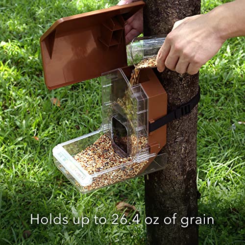 Wasserstein Bird Feeder Camera Case Compatible with Blink, Wyze & Ring Security Cameras Including Blink Outdoor 4, Wyze Cam OG & Ring Stick Up Camera (Camera NOT Included)