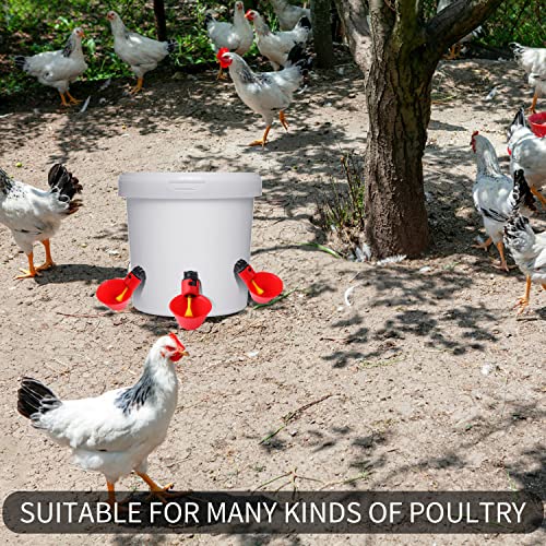 24Pack Chicken Waterer Cups,Poultry Water Cups,Automatic Poultry Waterer for DIY Poultry Quail Duck Chicken Bird Drinker
