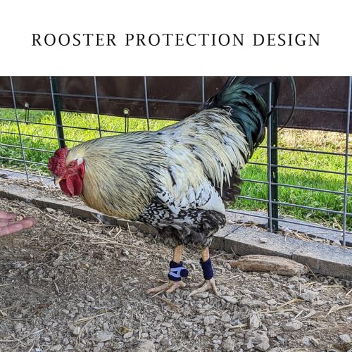 Gamefowl Supplies Chicken Leg Bands Rooster Booster Rooster Spur Covers Gallos De Pelea Accessories Chicken SaddleTie Cords for Gamefowl Accessories Leg Protect & Care