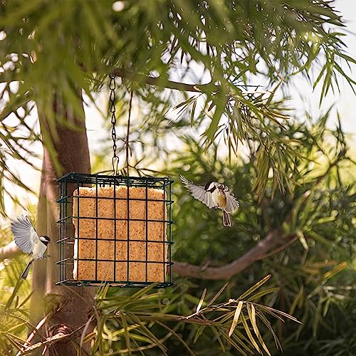 MEKKAPRO Suet Feeder Cage, Single Bird Feeder, Metal Chain, Outdoor | Single Capacity Suet Holder Recommended For Bird Feed, Ideal For Clinging Birds, Woodpeckers, And Nuthatches In Every Yard - size: Single
