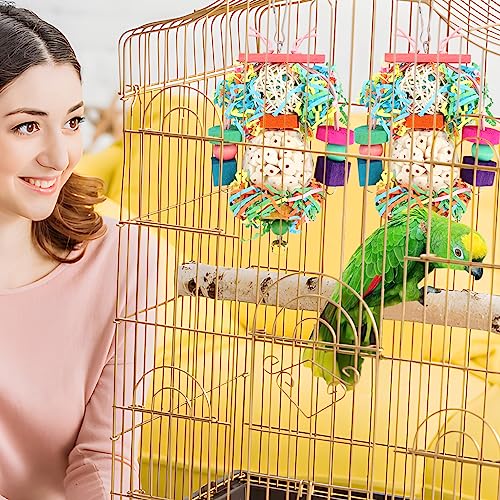 BBjinronjy Bird Toys,2PCS Hanging Natural Soft Sola Ball Beak Chew Shred Forage Toys for Parrots,Cockatiel,Conure,Love Birds,Parakeets,Budgie and Other Small Birds - size: Medium B