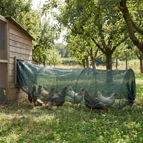 Didiseaon Chicken Coop Tunnel Run Strong Tunnel Frame Foldable with Green Garden Sunshade Net Cover and Modular Connection System Lightweight 500g Portable Poultry for Backyard Chickens