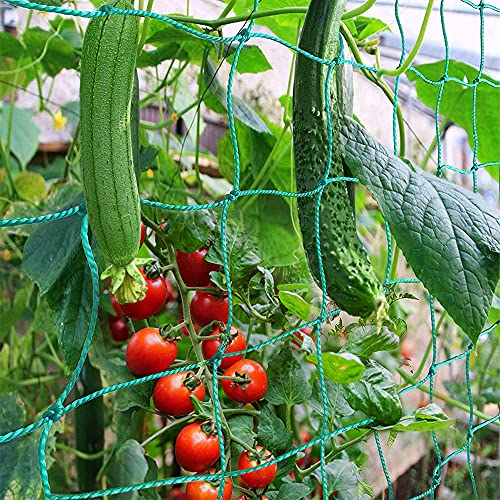 Trellis Netting, PDGROW Climbing Plant Support Net Garden Pea Bean Neting, Heavy-Duty PE Trellis Net for Cucumber, Tomato, Vegetables, Fruits, Sweet Pea Plants (6.6' x 8.2'Ft) - size: 6.6' x 8.2'