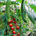Trellis Netting, PDGROW Climbing Plant Support Net Garden Pea Bean Neting, Heavy-Duty PE Trellis Net for Cucumber, Tomato, Vegetables, Fruits, Sweet Pea Plants (6.6' x 8.2'Ft) - size: 6.6' x 8.2'