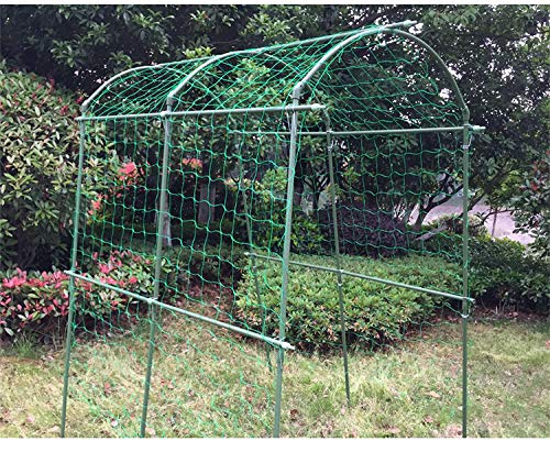 Pack of 2 Cucumber Tomato Trellis Netting, Heavy Duty Garden Netting Support for Climbing Plants, Pea, Grape, Bean, Fruit, Vegetables - 4" Mesh Size - 6Ft x 16.4Ft - size: 6Ft*16.4Ft