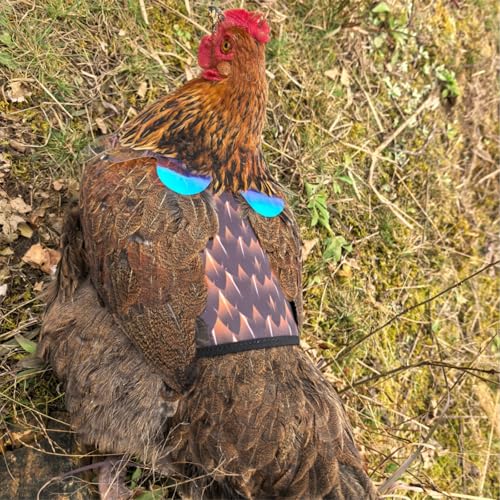 Chicken Saddles for Hens with Detachable Wings, Adjustable Hen Apron Back Protector for Feather Recovery, Double-Layer Breathable Poultry Saver for Standard Breeds (Black，Yellow) | Double-Layered Breathable Poultry Back Protector For Hens During Mating An