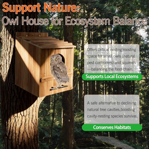 Large Owl Houses for Outdoors, 17" x 12.5" x 12.5" Barn Owl Box | Extra Wide Wooden Bird Nesting Box with Removable Entrance Plate - Habitat for Barn, Screech, Boreal, Saw-Whet & Elf Owls