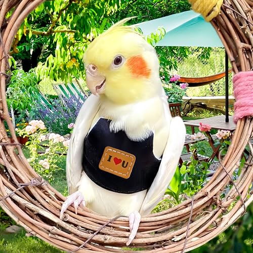 Bird Flight Harness Vest, Parrot Flight Suit with Leash Adjustable Bird Flying Clothes Outdoor Training Traction Rope for Parakeets Cockatiels Conures Budgies Cockatiel-Black,L - color: Black
