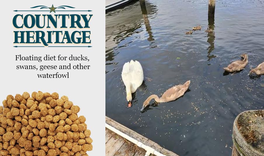 Country Heritage Floating Waterfowl Feed – Duck, Goose & Swan Food – 5 lb Resealable Bag – Nutrient-Rich Pellets for Wild & Pet Birds - size: 5 Pound (Pack of 1), style: Floating Waterfowl Feed
