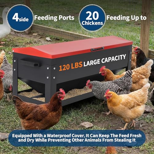 120LB Large Metal Chicken Feeder Box, Galvanized Steel | Automatic Poultry Feeding, Waterproof Red Lid, Brake Casters, Portable Handles, For Chickens, Ducks, Geese, Hens, Roosters