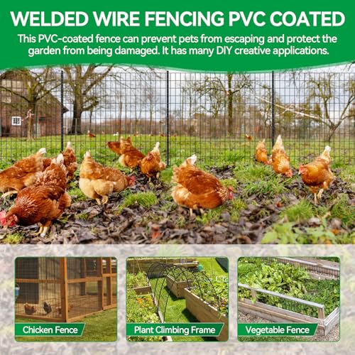 Welded Wire Fence, 100t(L) x 36inch(H) PVC Anti-Rust Coated Wire Mesh, 2 Inch x 3 Inch 16GA Garden Edging Border, Roll Metal Animal Barrier for Yard Vegetable Plant Protection Poultry Netting - size: 100ft(L) x 36inch(H)