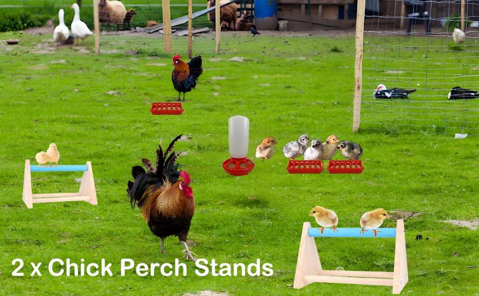 7 Pack Chick Feeder and Waterer Kit No Waste with Chick Perch Flip Top Small Poultry Feeder Trough Quail Feeding Supplies Baby Chick Starter Kit for Chicken Coop Brooder Duck Quail Gravity