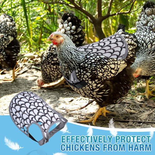 Chicken Saddle for Hens - Chicken Aprons for Hens With Adjustable Straps, Chicken Aprons & Vest Jacket for Hens - style: White Feather