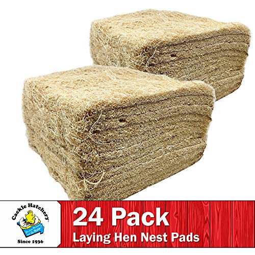 Laying Hen Nest Box Pads Made in USA from Sustainable Aspen Exceslior - 13x13 Nesting Box Liners (24 Pack) - size: 24 Pack
