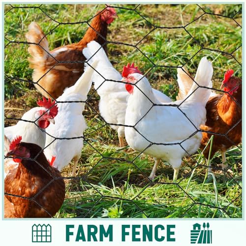 GlikCeil 24 in x 200 ft Chicken Wire Fencing Metal Floral Chicken Wire Mesh for Crafts Poultry Garden, 1 Inch Hexagonal Galvanized Hardware Cloth Netting for Poultry Coop Barrier Rabbit Cage(Black) - color: Black, size: 24 in X 200 ft