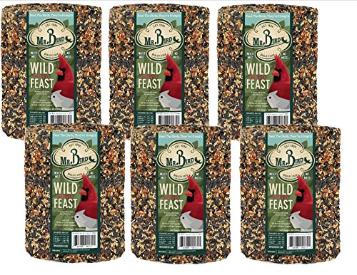 Mr. Bird Wild Bird Feast Birdseed Cylinder - 6 Diameter - size: 1 Pound (Pack of 6)