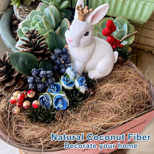 Long Coconut Husk Fiber Mulch Silk for Orchids Clean Coconut Shell Moss Covering 0.66 Pounds - size: 300 grams/0.66 pounds