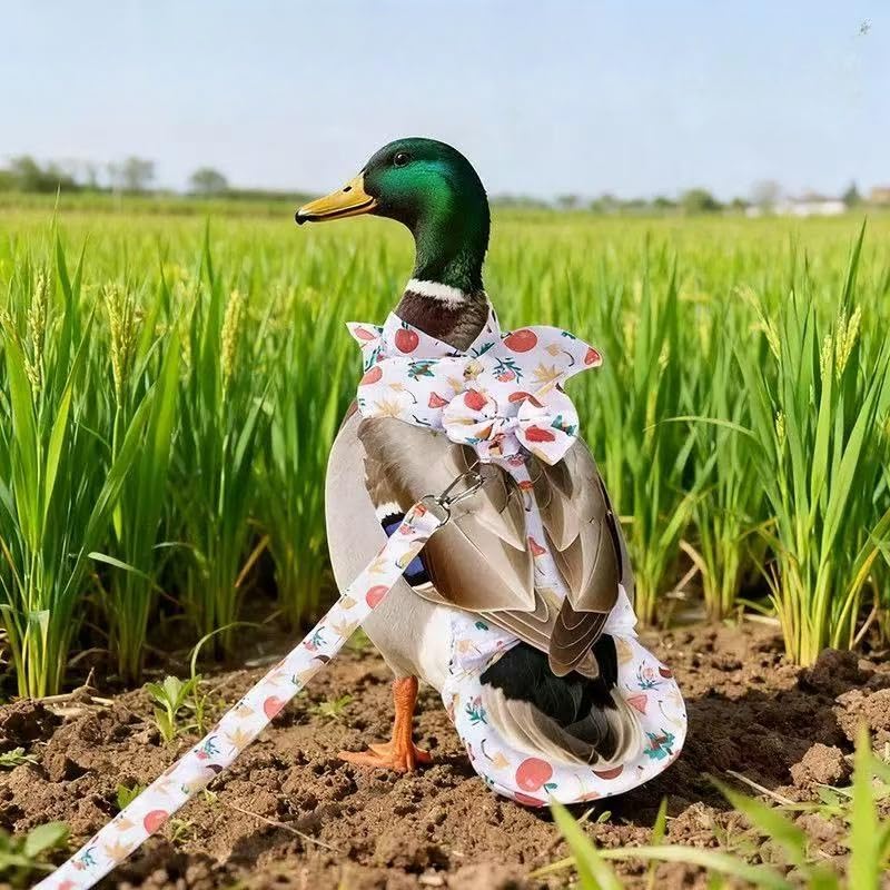 Chicken Diapers for Hens, Roosters, Diapers for Ducks with Walking Leash, Reusable Pet Duck Diapers Chick Clothes Waterproof Poultry Nappies for Geese Pet Ducks Chicken-Mushroom, S - size: S
