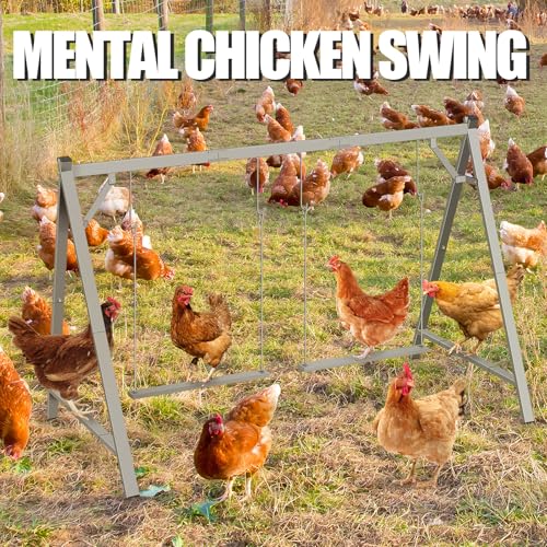 Chicken Perches with Swing, Chicken Roosting Bars for Coop Accessories | Activity Play Toys for Pet's Health & Happy, Sturdy Metal.