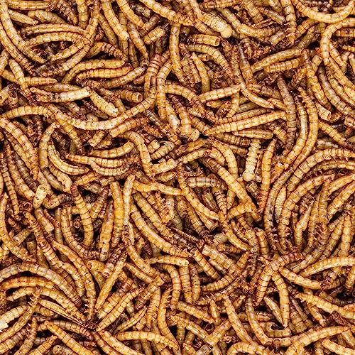 Worm Nerd WN60 5LB Dried Mealworms Non-GMO High Protein and Fiber Treat for Chickens, Birds, Reptiles, Amphibians, Fish - size: 5 Pound (Pack of 1)