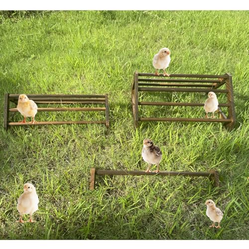 Chicken Perch 3 Pack Chick Toys Wooden Roosting Bar Chicken Coop Accessories for Brooder Training Perch for Baby Chick, Bird Parrot Easy to Assemble and Clean