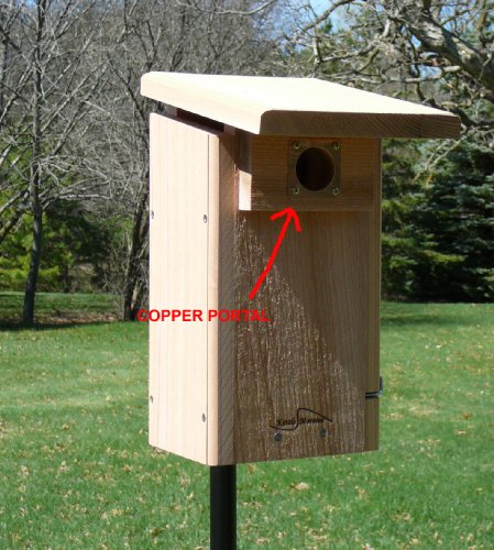 Copper Portal for Eastern Bluebird Bird Houses Predator Guard 1 1/2" Opening