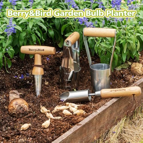 Berry&Bird Hand Dibber – Precision Wood Handle Seed Dibber Garden Tool | Seed Planting Tool for Planting Seeds & Bulbs with 6'' Measuring Scale, Hole Punch Dibbler Tool Bulb Planter for Planting - size: 6''