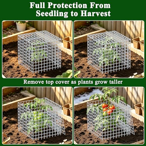 4Set 12"x12" Plant Protectors from Animals, All-Metal Plant Cage with Cover | Hot-Dip Galvanized Metal Wire, Heavy-duty Animal Barrier to Keep Rabbits, Birds Out of Tomato Flower