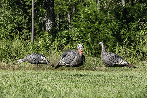 HUNTERS SPECIALTIES HS Strut Lite Flock Jake & Feeding Hen & Upright Hen Turkey Foldable Hollow Relaxed Body Realistic3-Pack Combo Set Decoys
