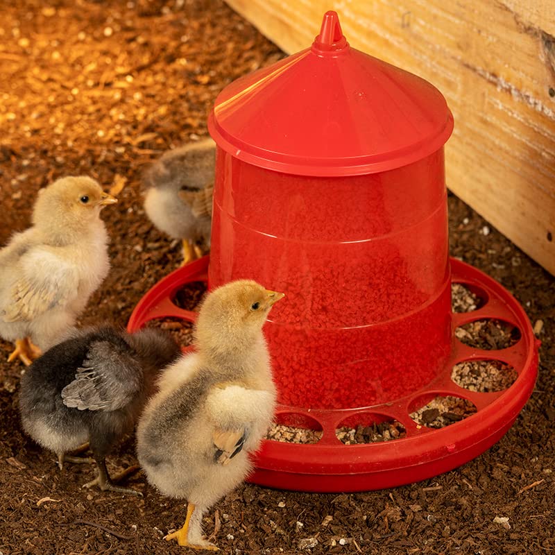 Premier 1 Poultry Tower Feeder – 26 lb, for Chickens, Ducks & Turkeys | Semi-transparent for at-a-glance feed monitoring. No need to remove top to check level. - style: 26 lb