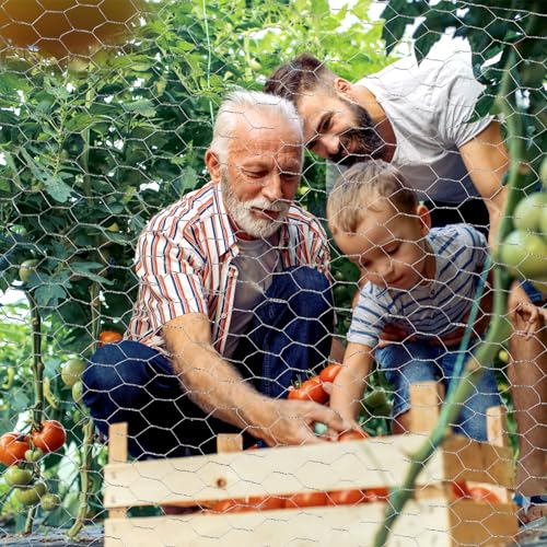 ROADPLUM 13.8 in x 49 ft Chicken Wire Fencing, Rustproof Galvanized Iron Chicken Wire Mesh for Pet Rabbit, Floral Chicken Wire Roll Netting to Protect Poultry Plant Fruit (Pack of 2) - size: 13.8 x 590 in (Pack of 2)