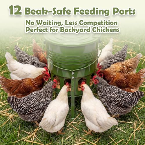 Metal Chicken Feeder No Waste - 20LB Large Chicken Feeder with 12 Ports & 4 Adjustable Heights Tripod Stand, Automatic Hanging Poultry Feeder, Rainproof for Backyard Chickens & Small Flocks
