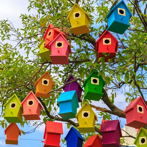 Birdhouse Predator Guard, Helping Reduce Nest Destruction and Enhance Safety for Bird Chicks, 4 Pack, 1 1/4" (1.25in) - size: 1.25 inches