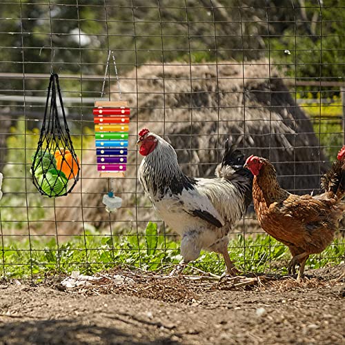 6 Packs Chicken Toys for Coop Accessries, Chicken Swing Toys for Chicken Hens, Chicken Xylophone Toys and Mirror, Vegetable Hanging Feeder, Veggies Skewer