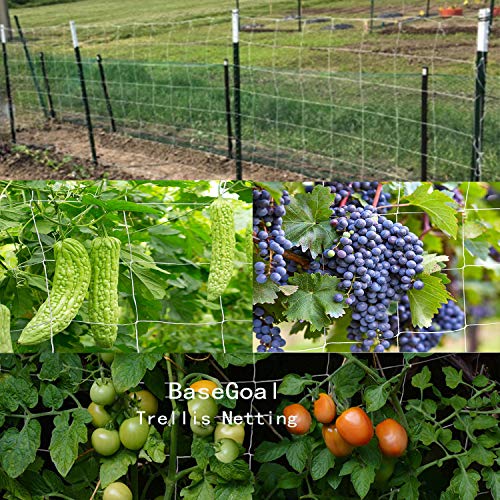3.5in Mesh Trellis Netting, 5x30ft, 1 Pack | Polyester mesh netting for vine crops & plants; Suitable for garden garden applications - size: 3.5" Mesh (5'X30')