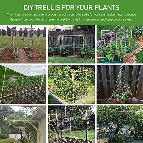 Trellis Netting, CANAGROW Heavy-Duty Garden Plant Trellis Netting for Climbing Plants, Outdoor Indoor Grow Net for Beans Tomatoes Peas Pumpkin Flowers, 6x15ft, Pack of 2 - size: 6'x15'