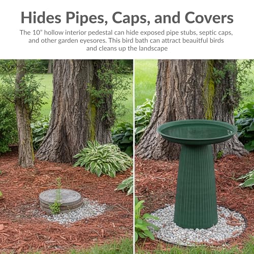 Sunnydaze Modern Bird Bath for Outside, Iron, 23” H, Green Glaze | UV & Rust-Resistant Matte Finish, Durable Iron,1 Gal Water Cap, Outdoor Birdbath for Garden, Pedestal Bird Bath with Bowl - color: Green Glaze