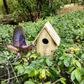 YCHTEWY-DIY Wooden Bird House,Wild Bird Feeder, Hanging Birdhouse Attract Birds & Beautify Your Yard! (Cream, C) - size: C