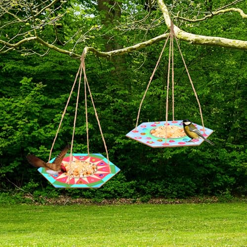CroBlissful 12 Pack Bird Feeder Craft Kits for Kids DIY Your Own Bird Feeders with Paint and Paintbrushes Wooden Arts and Crafts for Kid Ornaments to Paint Feeders Craft for Garden (Hexagon) - style: Hexagon