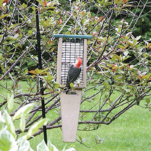 Birds Choice Pileated Suet Feeder with Tail Prop, Holds 2 Suet Cakes | Hanging Suet Bird Feeder for Woodpeckers, Jays, Nuthatches | Sturdy for Garden & Backyard | Taupe & Green, 8" L x 3" W x 22.5" H | Hanging Feeder for Woodpeckers, Jays and Nuthatches,