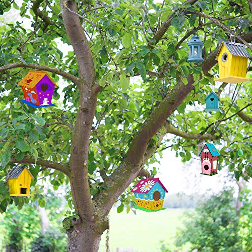 hapray 2 Pack Bird House Kits for Kids, DIY Birdhouse Kit Build and Paint - color: 2 Pack Bird House