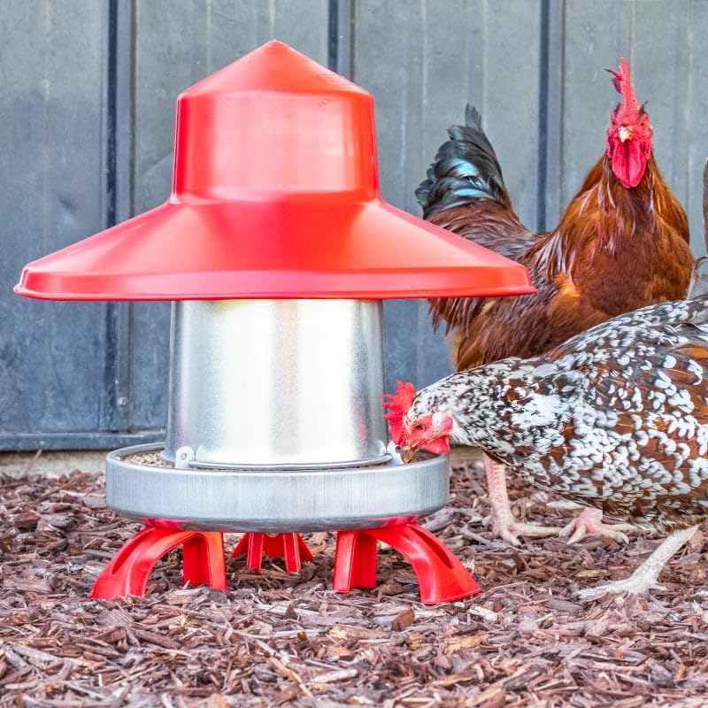 Premier 1 Galvanized Cone Poultry Feeder – 22 lb Capacity, Feeder Only | Heavy-duty galvanized metal. Free standing or hanging. Built-in handle. For broilers to layers & waterfowl. - style: Feeder Only