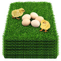 8 Pack Chicken Nesting Box Pads - Washable Artificial Grass Nesting Pads - Chicken Nesting Pads for Chicken Coop and Pet Garden Lawn Indoor Outdoor 12"×12"×1" - color: 8pack-Green