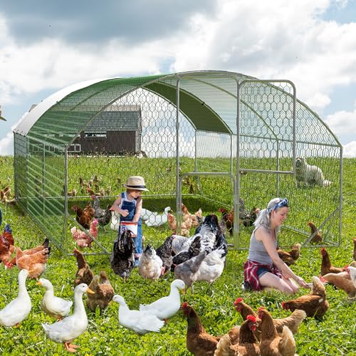 Large Walk-in Metal Chicken Coop for 30 Chickens,Heavy Duty Reinforced Wire Mesh Run with All-Weather Waterproof & Anti-UV Cover,Secure Lock - Outdoor Poultry Pen for Chickens,Ducks (Dome Roof) - size: large Dome Roof Bottom Reinforcement