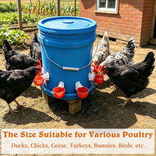 Large Automatic Chicken Waterer Cups, Poultry Watering Feeder Driking Bowl | 8pcs Poultry Water Feeder Kit for Chicks, Duck, Goose, Turkey and Bunny, Poultry DIY Gravity Fed Bucket Water Dispenser